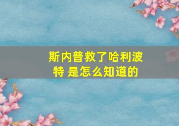 斯内普救了哈利波特 是怎么知道的